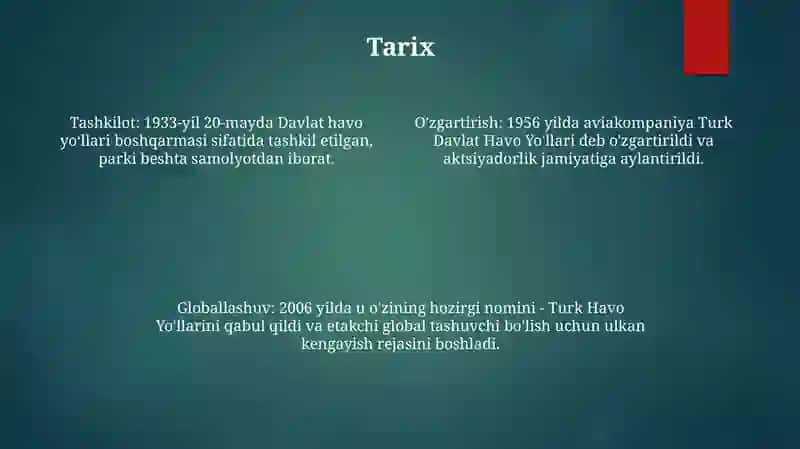Turk Havo Yo'llari 3