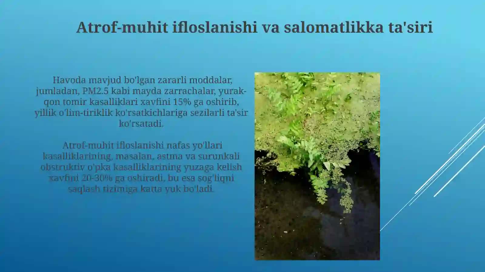 Atrof muhit va odam organizmining bogʻliqligi 3