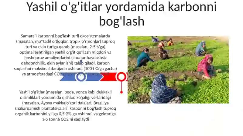 Yashil o'g'it 3