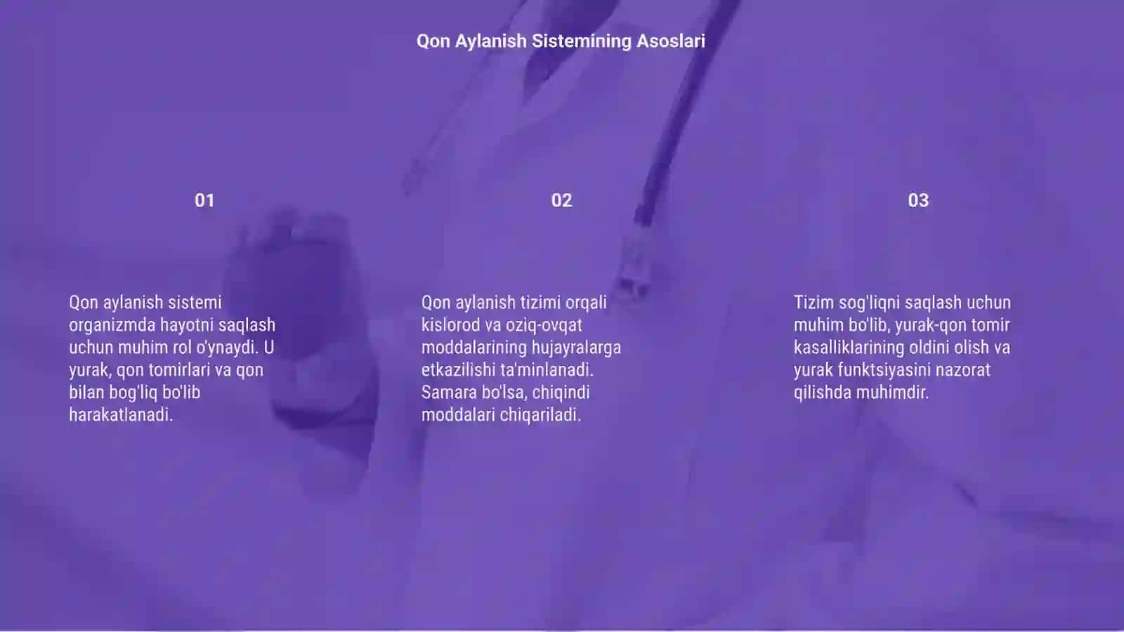 Qon aylanish sistemasi 3