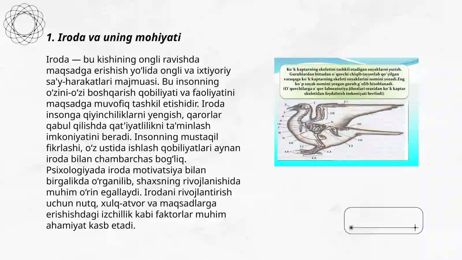 Shaxsning irodaviy xususiyatlari va ularning tuzilishi 3