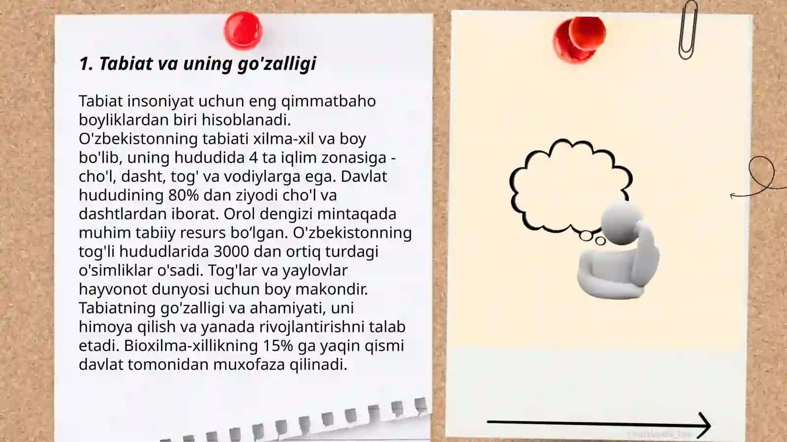 Tabiat va uning go'zalligi 3