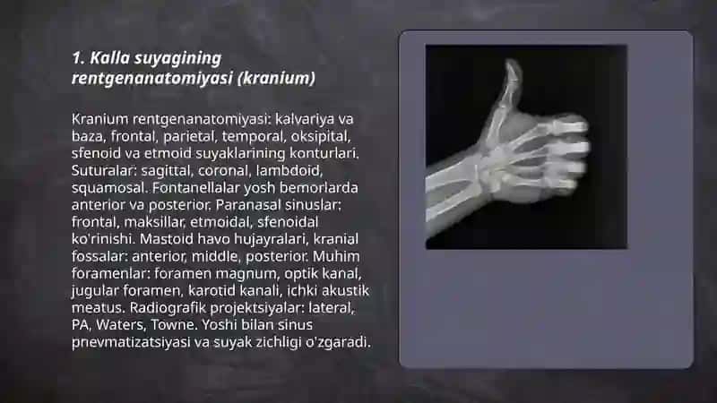 Skelet suyaklarining rentgenanatomiyasi 3