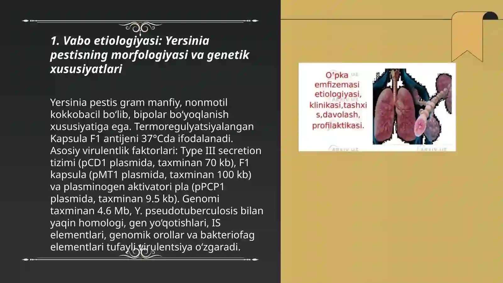 Vabo etiologiyasi epidemiologiyasi Klinikasi Patologiyasi Asoratlari davolash prafilaktikasi 3