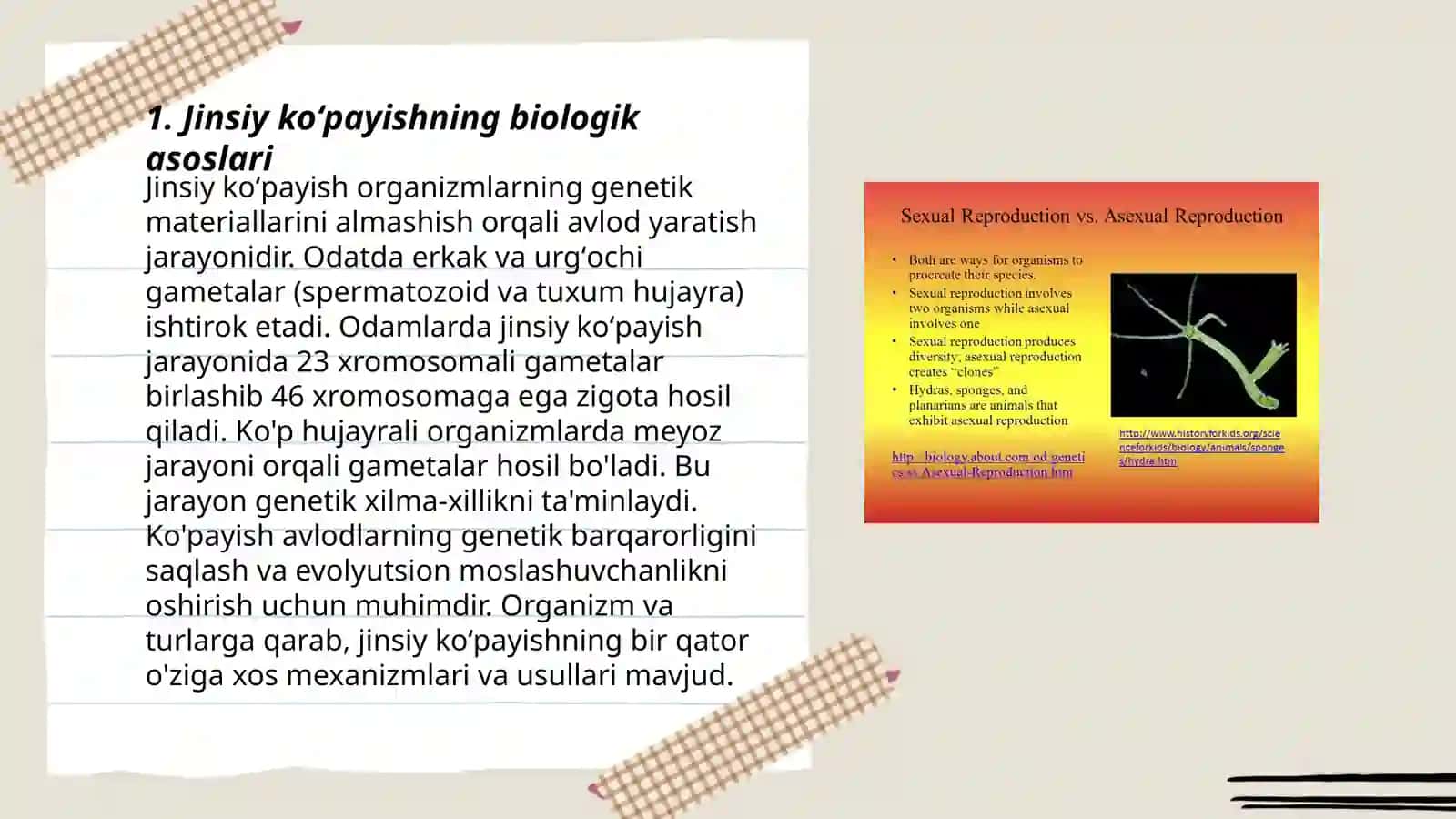 Jinsiy va Jinssiz Koʻpayish 3
