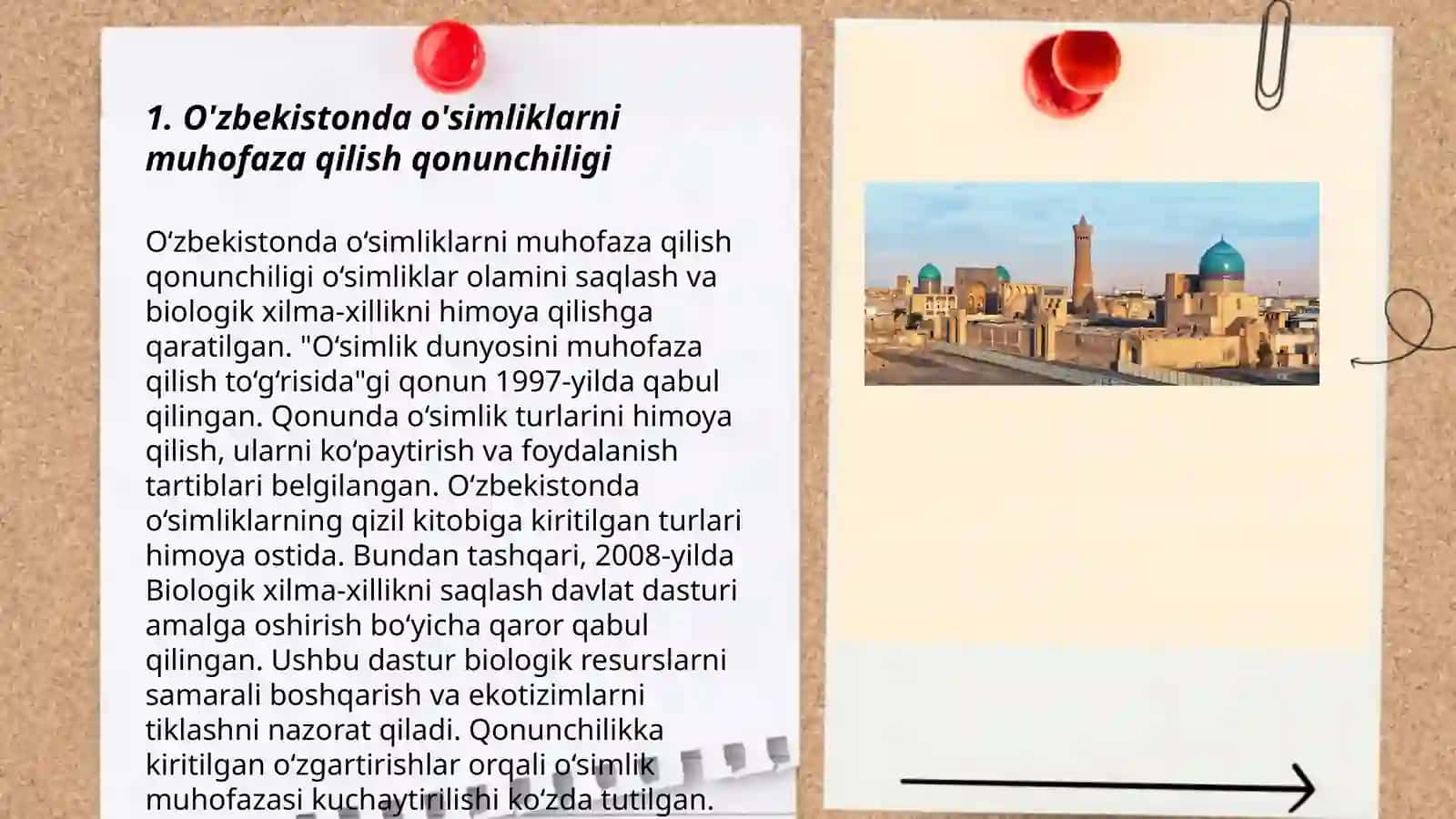 O’zbekiston o’simliklarini muhofaza qilish 3