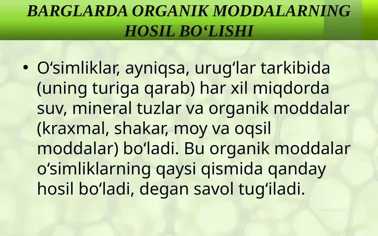 BARGLARDA ORGANIK MODDALARNING HOSIL BO‘LISHI 3