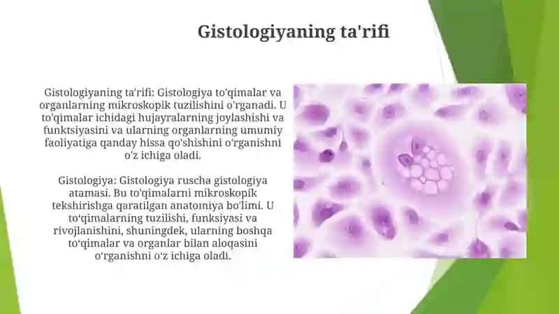 Gistologiya 3