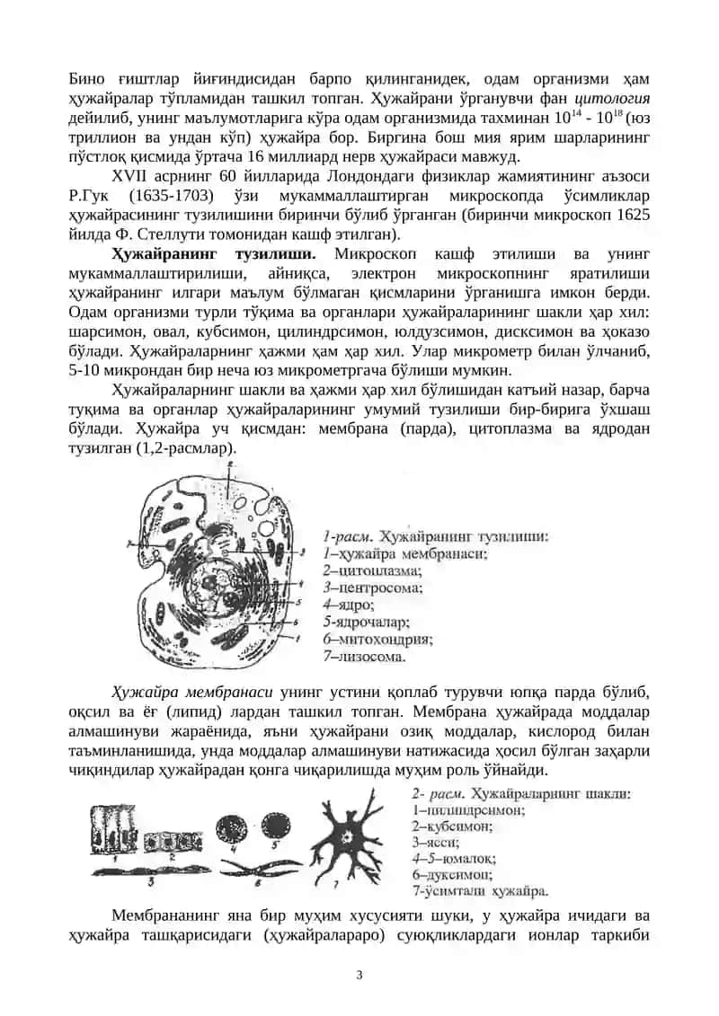 АНАТОМИЯ ВА ФИЗИОЛОГИЯ ФАНИДАН МАЪРУЗАЛАР ТЎПЛАМИ 3