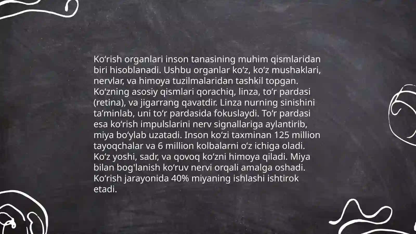 Koʻrish organlari tuzilishi 3