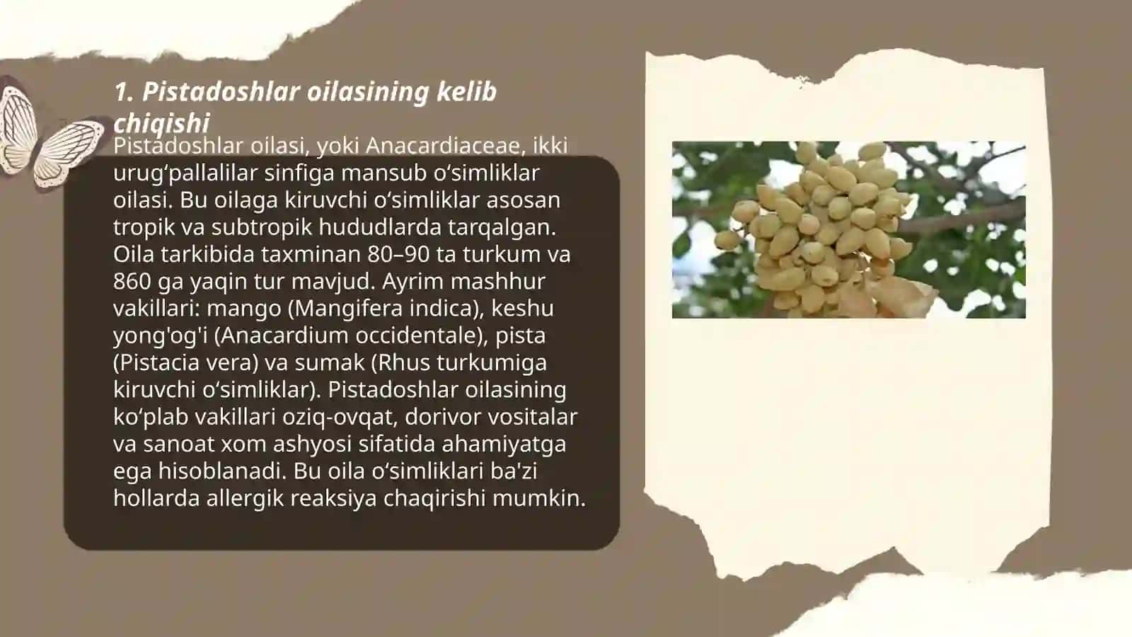 Pistadoshlar oilasi 3