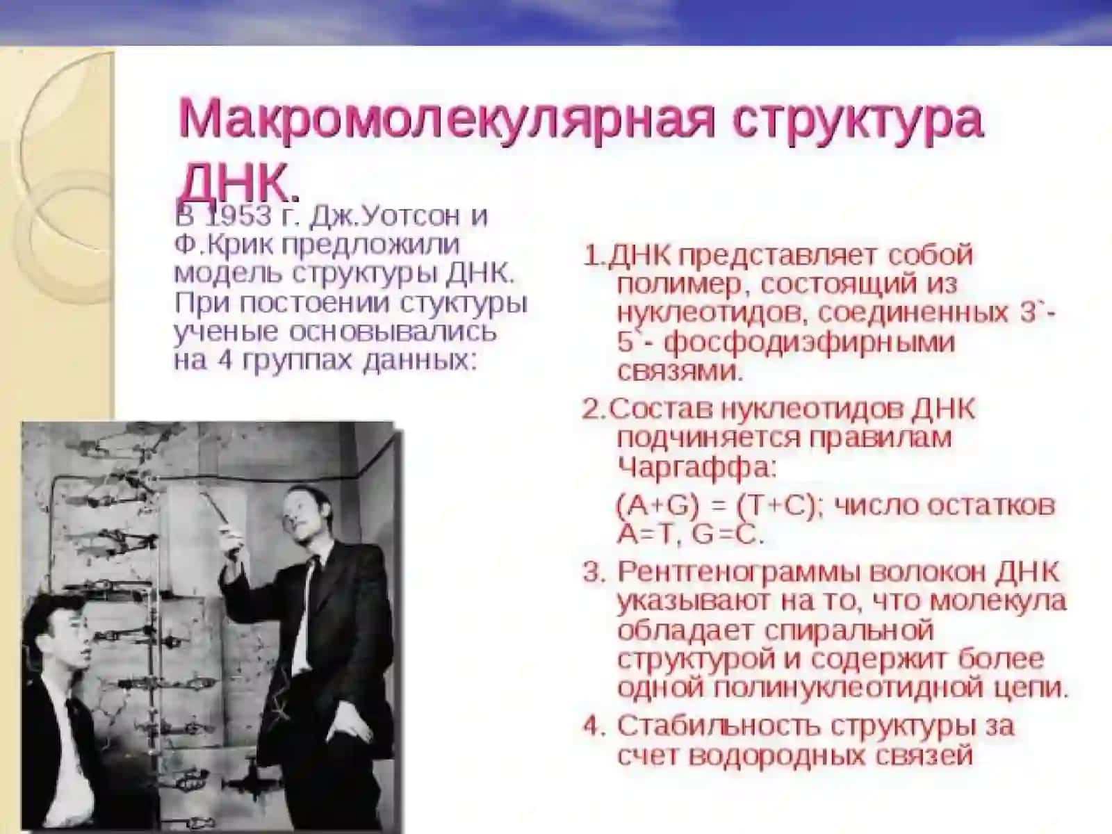 Молекуляр биология 3