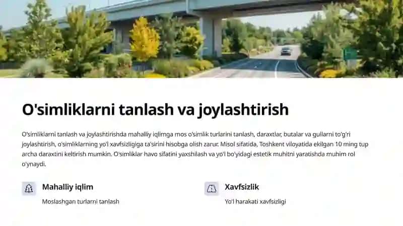 Avtomobil yo'llarini arxitektura manzrali obodonlashtirish 3