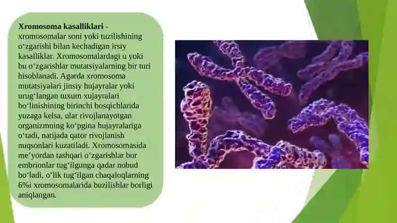 Xromosoma kasalliklari 3