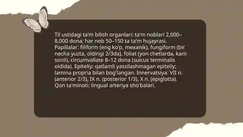 Tam bilish va hid bilish azolarining funksional anato'miyasi 3