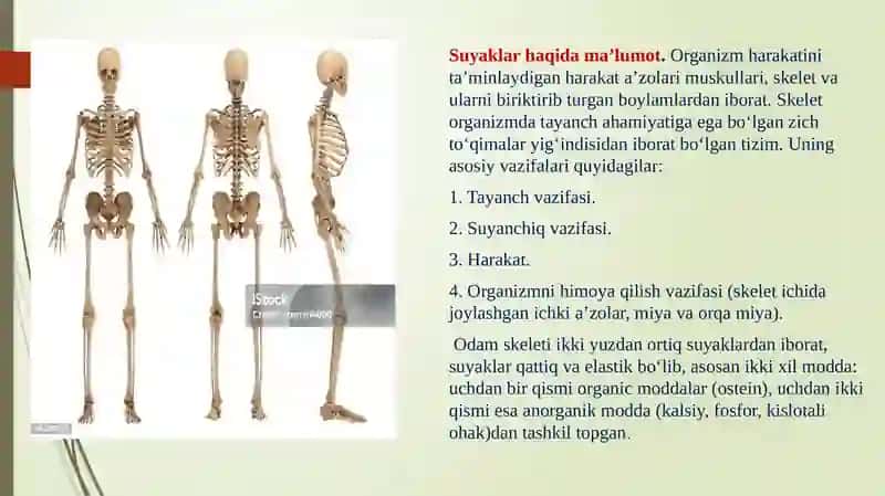 Kinematikaasoslari 3