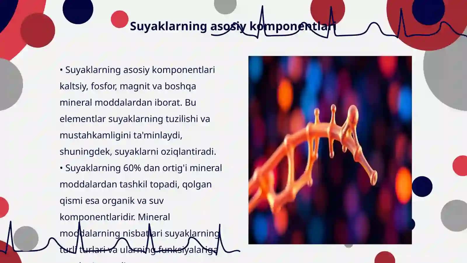 Suyaklarni tuzilishi kimyoviy tarkibi 3