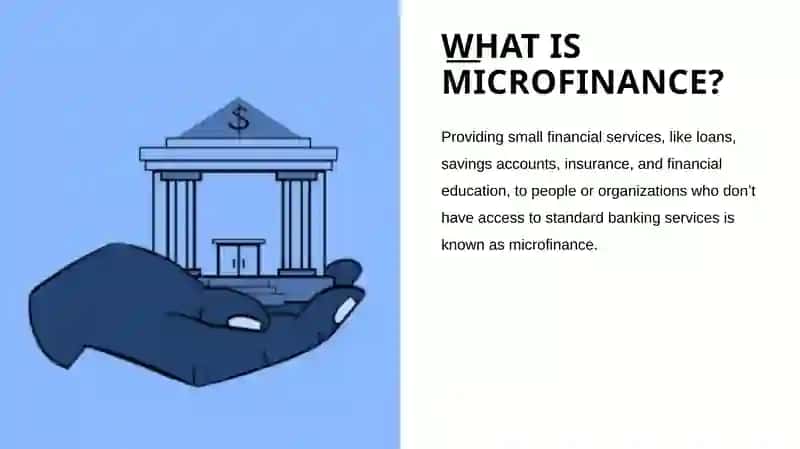 Role of microfinance and small businesses in reducing poverty. 3