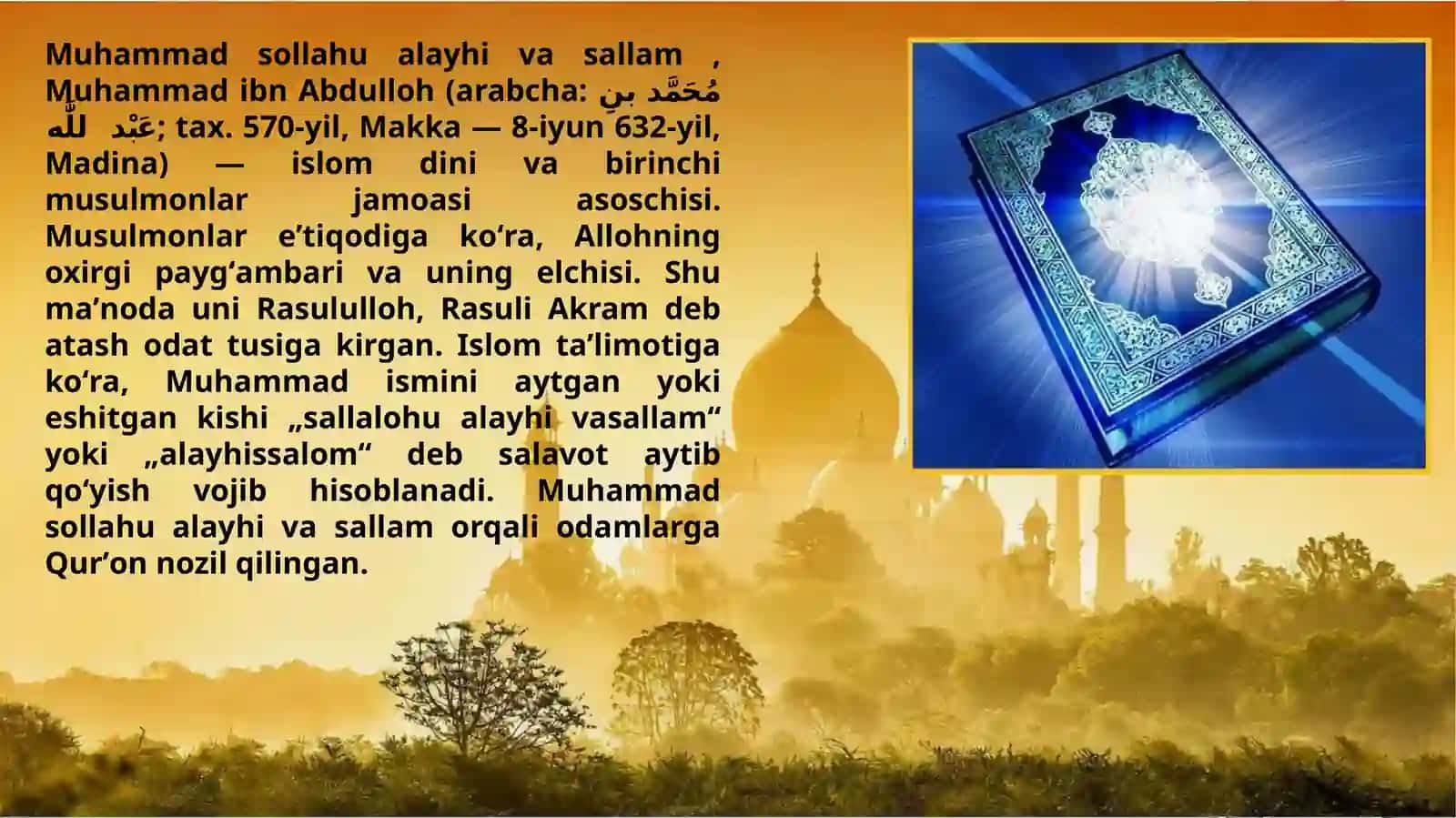 MUHAMMAD ALAYHISSALOMNING HAYOTI VA FAOLIYATI 3