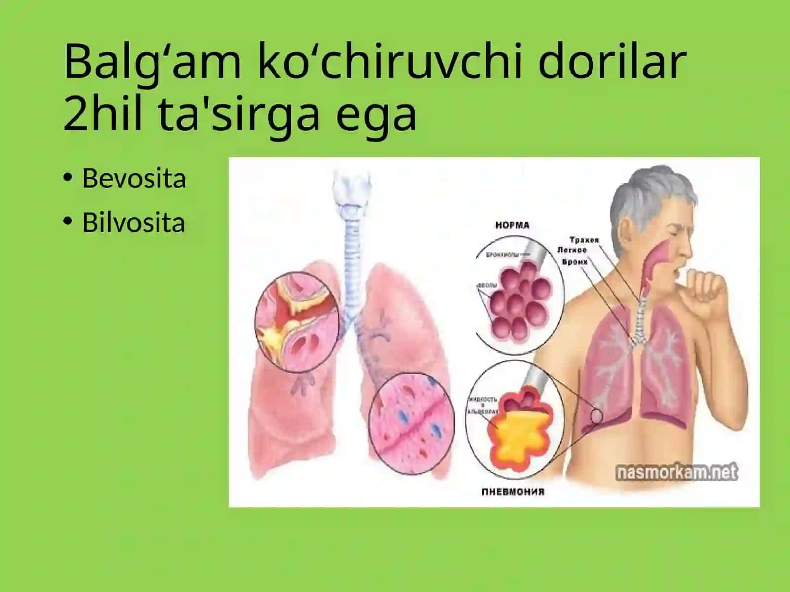 Balg'am koʻchiruvchi dorilar 3