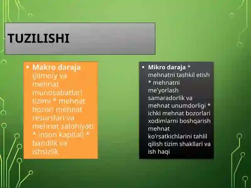 MIKRO VA MAKRO DARAJA TAHLILI 3