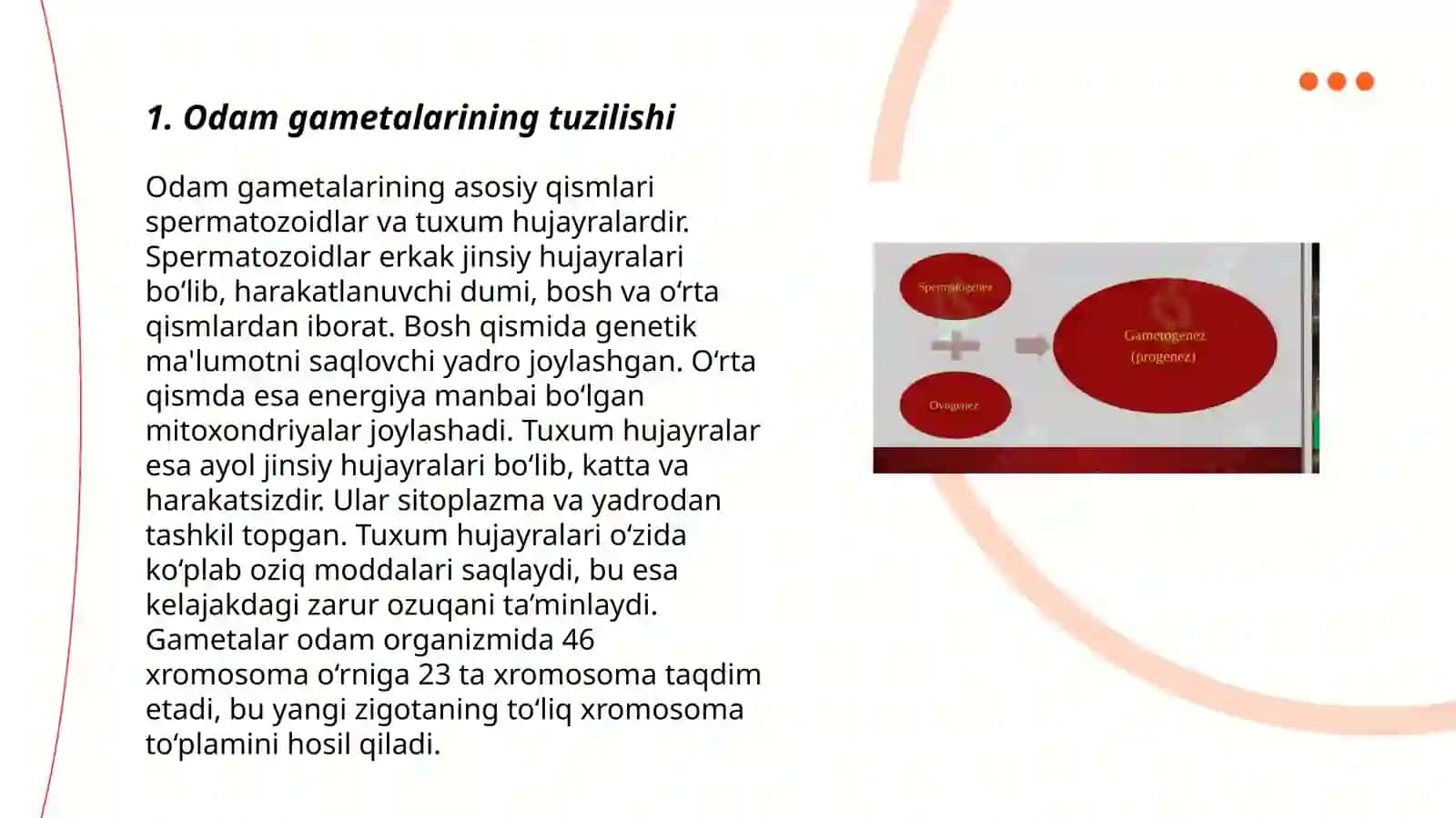 Odamlar embryonal rivojlanishi 3