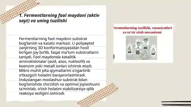 Fermentlarning ta'sir etish mexanizmi 3