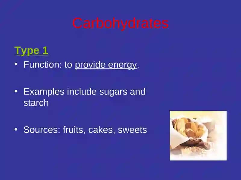 Food and the Diet 3