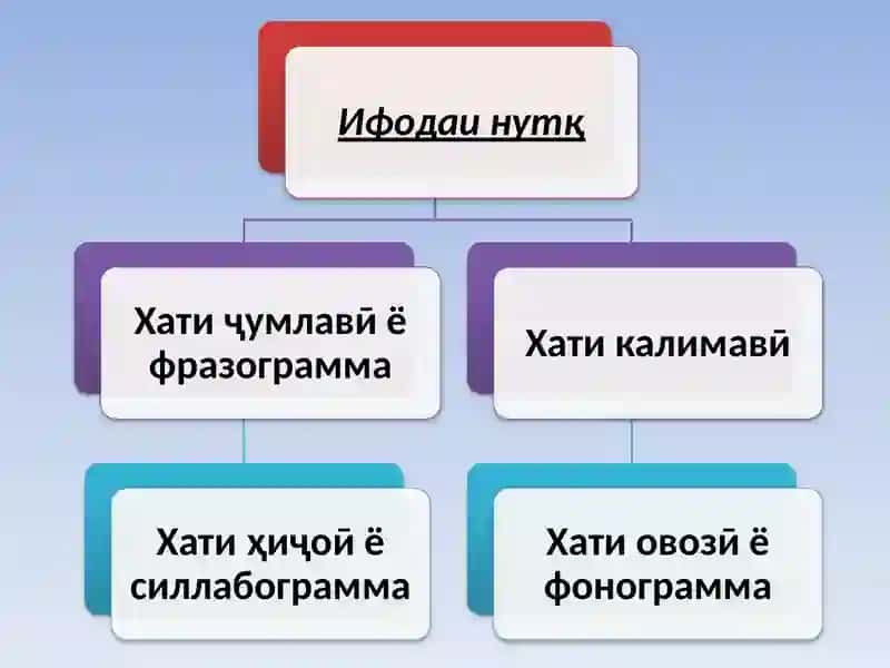 Орфография(имло) дар забони тоҷикӣ 3