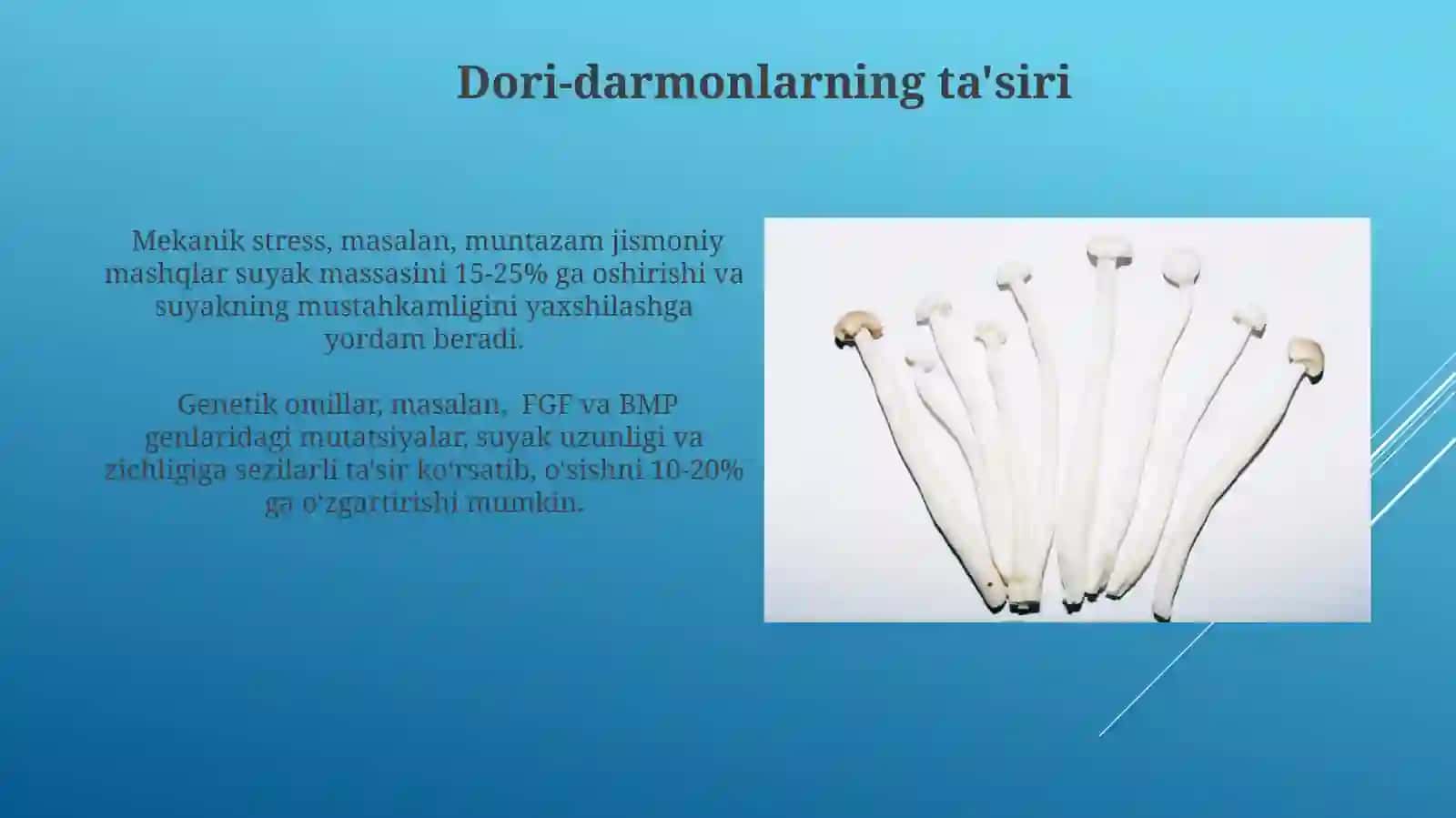 Suyaklarning oʻsishi va taʼsir 3