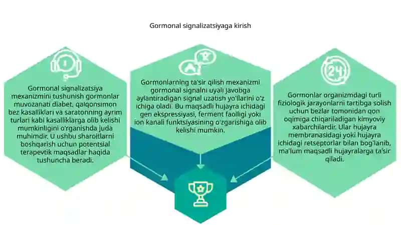 Gormonlarning nishon hujayralarga tasir mexanizmi 3