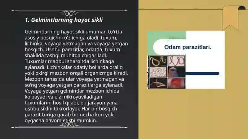 Gelmintlar-odam parazitlari 3