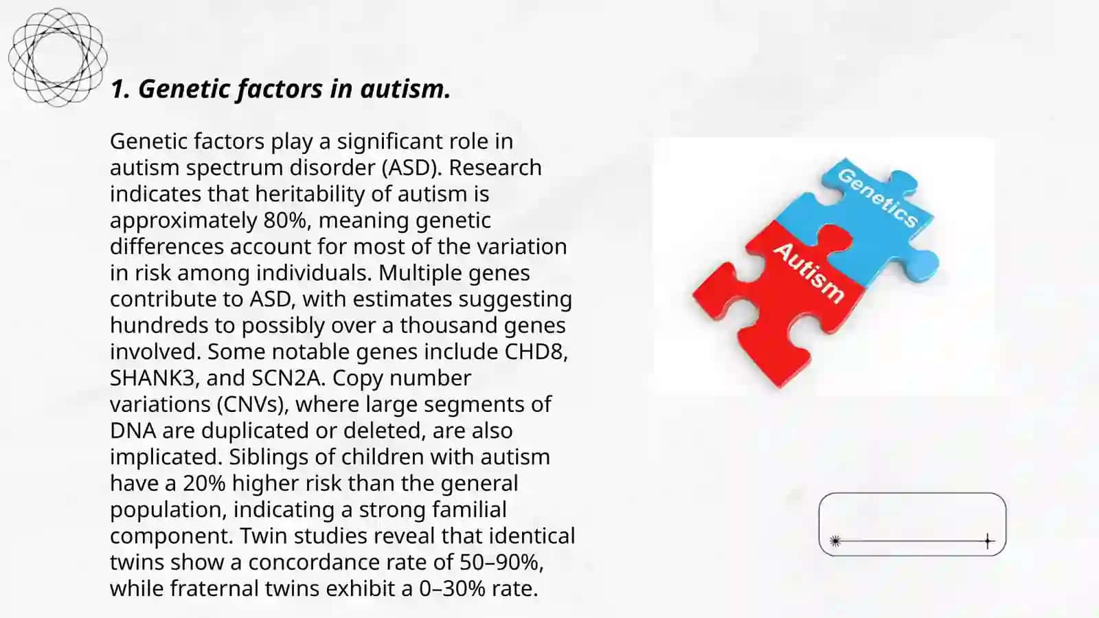 The autism puzzle 3
