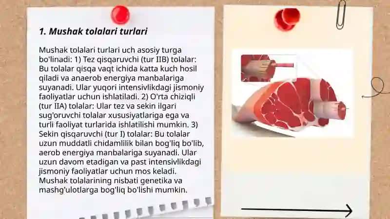 Mushaklarning ishi va biomexanikasi 3