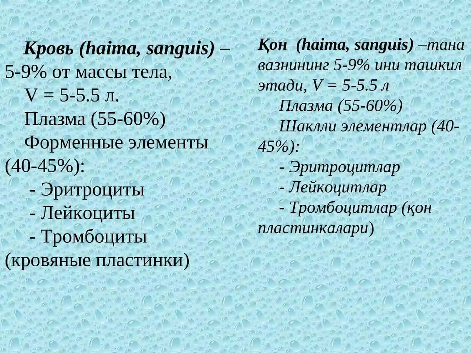 Морфология клеток лейкоцитарного ряда 3
