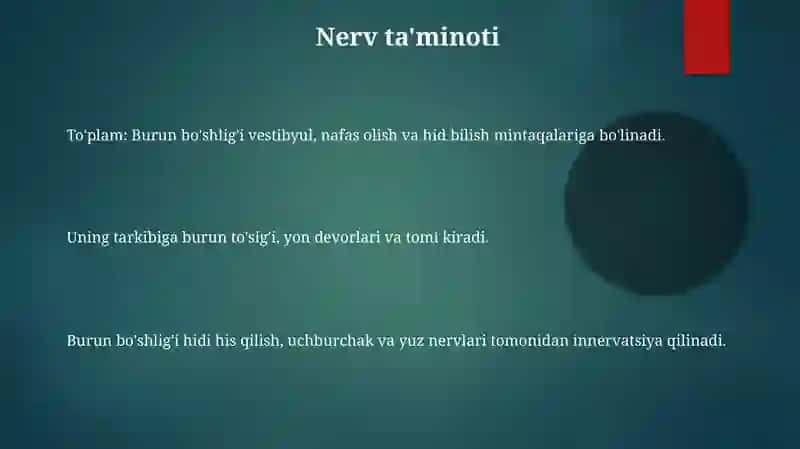 Burun Bo'shlig'i Anatomiyasi 3