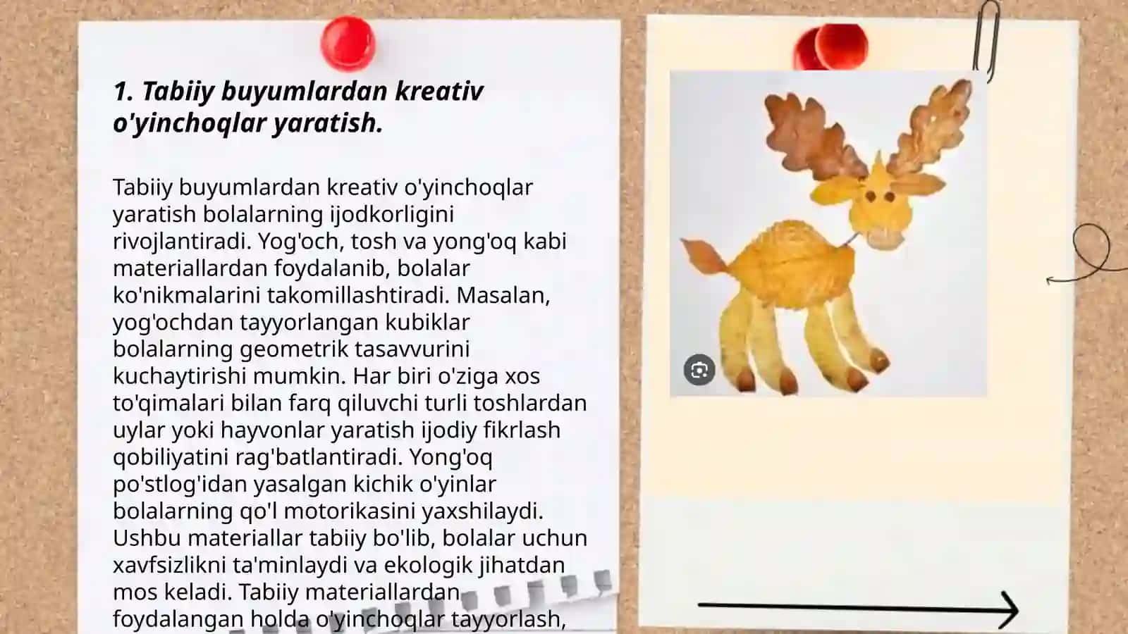 Tabiiy buyumlar bilan ishlash usullari 3