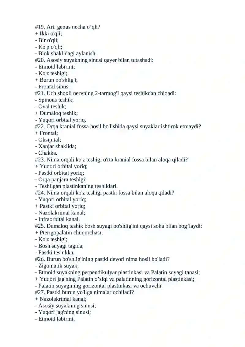 Plastik anatomiya 3