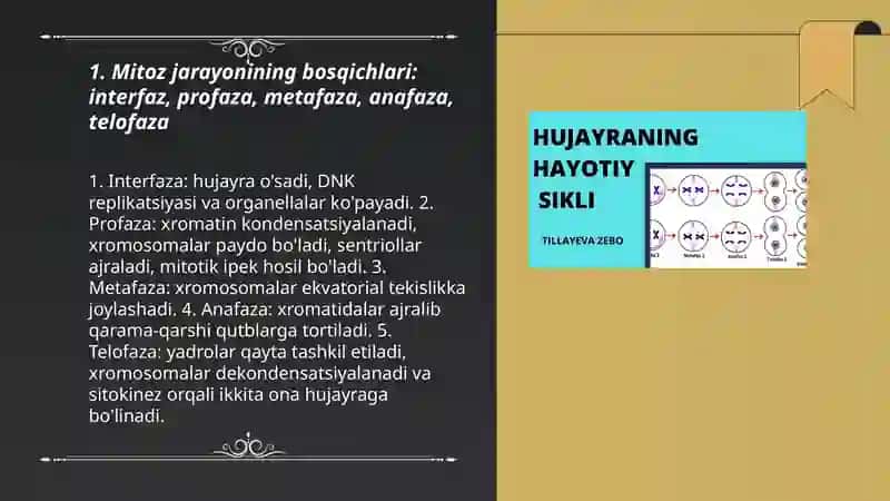 Meyoz va Mitoz jarayoni 3