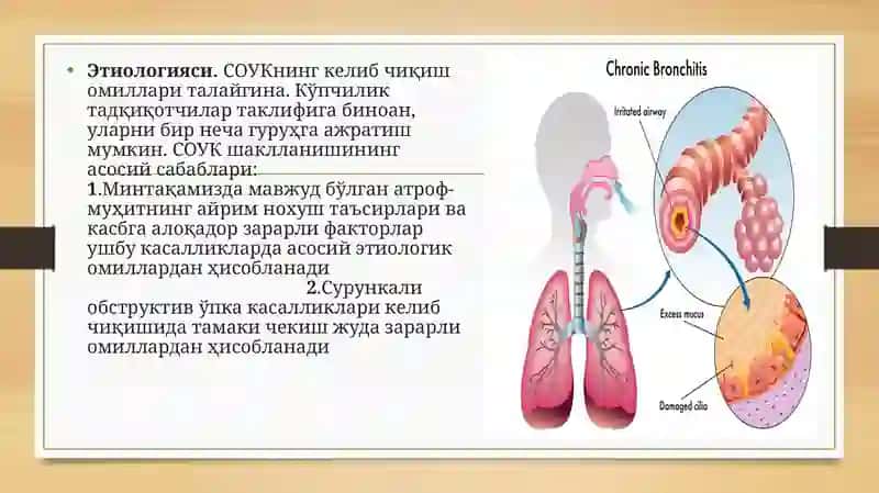 СУОК-бронхшиллиқ пардаси 3