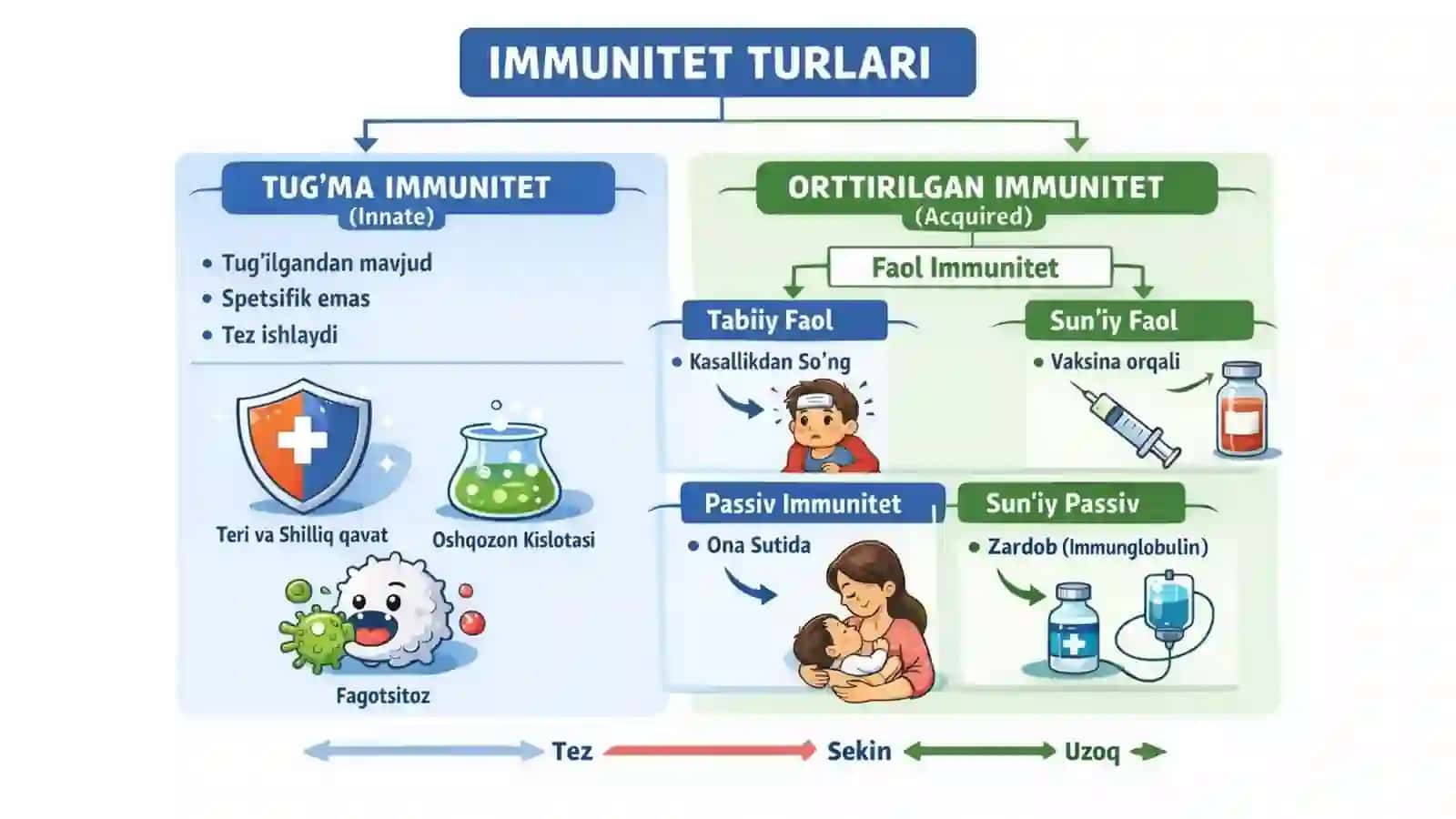 Emlash kalendari rejasini tuzish asoslari 3