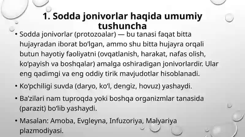 Sodda hayvonlar 3