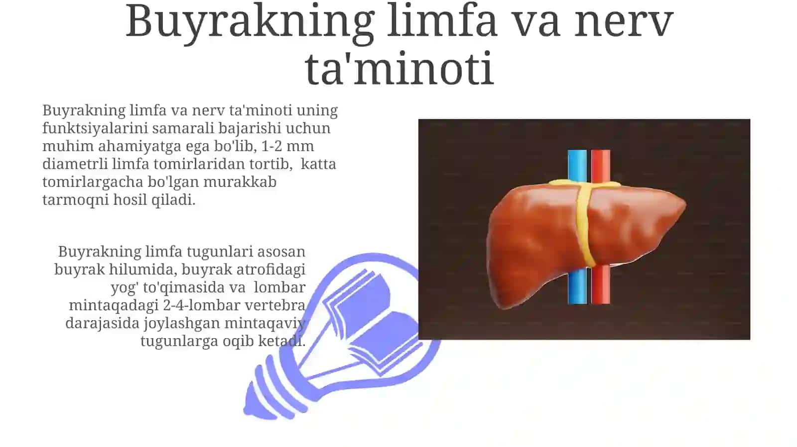 Buyrakvauningtuzilishi 3