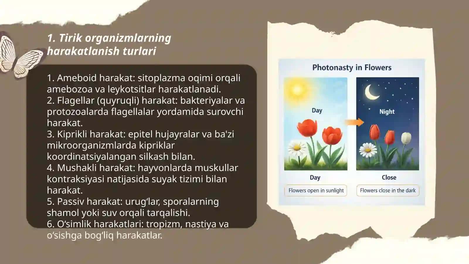 Tirik organizmlarning harakatlanishi 3