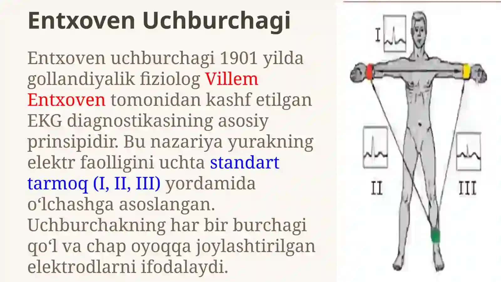 Elektrokardiografiya 3