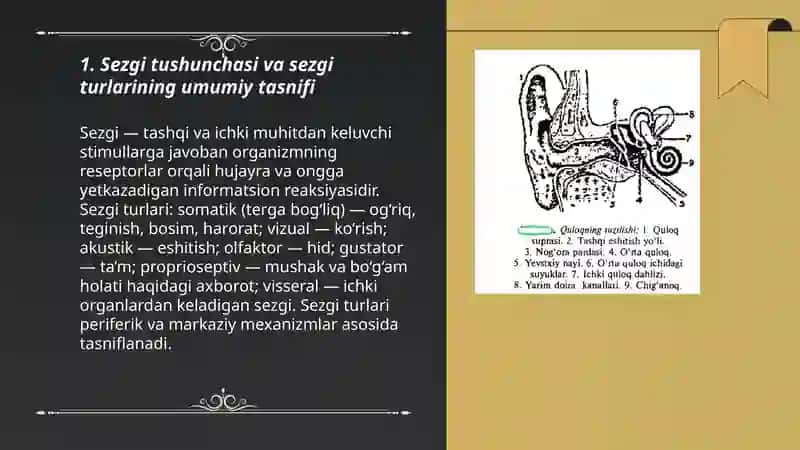 Sezgi turlari va uning qonuniyatlari 3