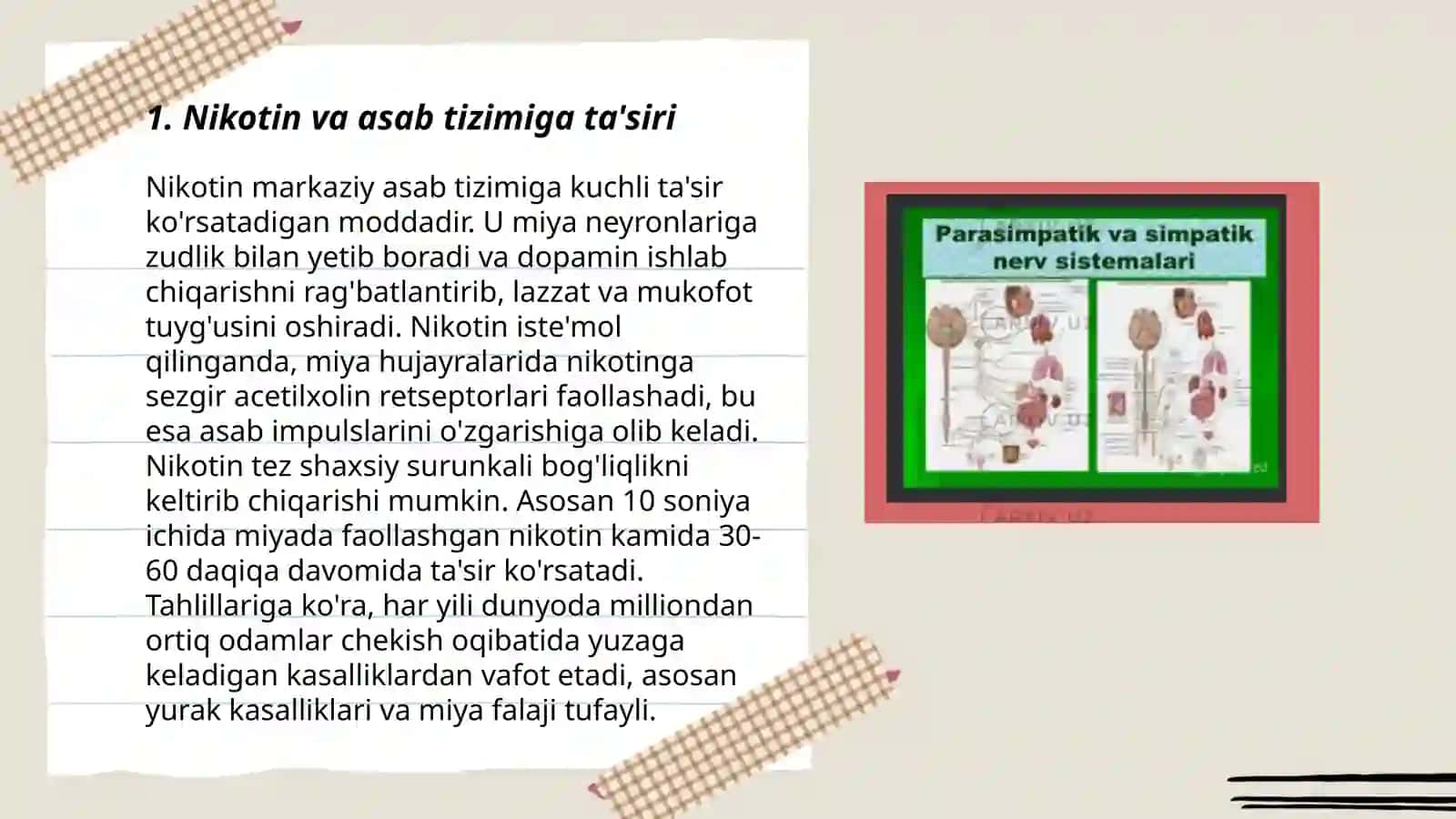 Nikotin va nerv tizimi 3