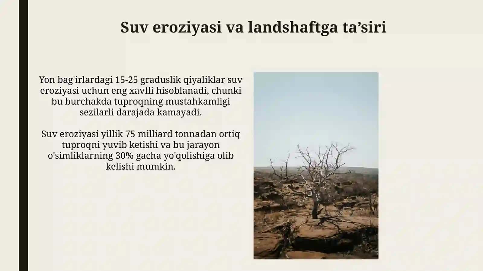 Landshaft barqarorligi 3