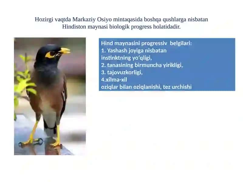 Organik olam evolyutsiyasinig asosiy yo‘nalishlari. 3