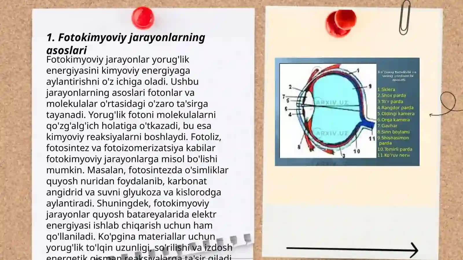 Fotokimyoviy jarayonlar 3